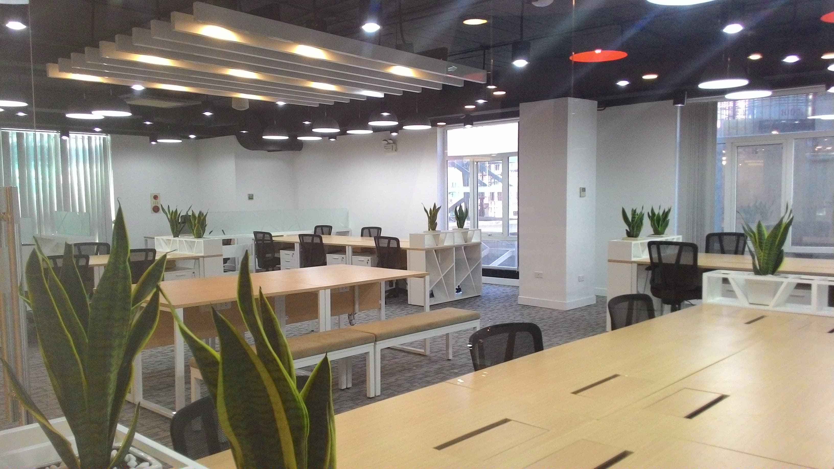 Thiết kế Văn phòng Xanh: Giải pháp Ánh sáng Tự nhiên và Cây xanh Nội thất Chuẩn ESG